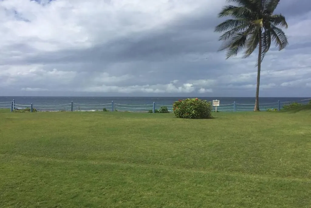 Contemporary Ocean View 2Bed Carib Ocho Rios Condo